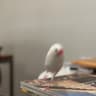 かたりん